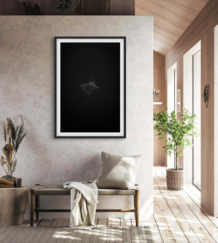 monochrome mobula 2