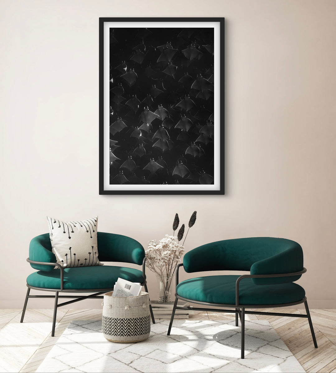monochrome mobula 1