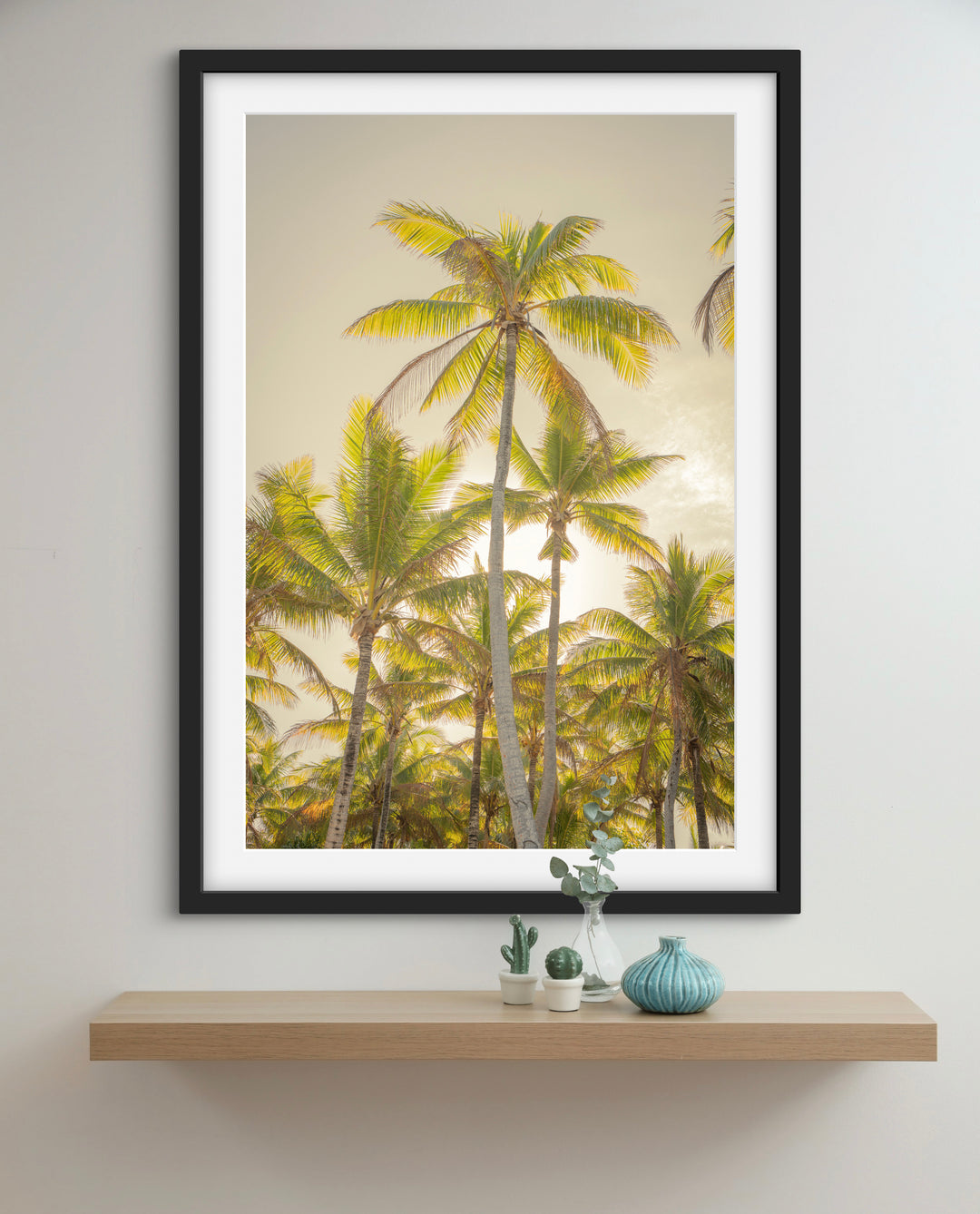 palms 8