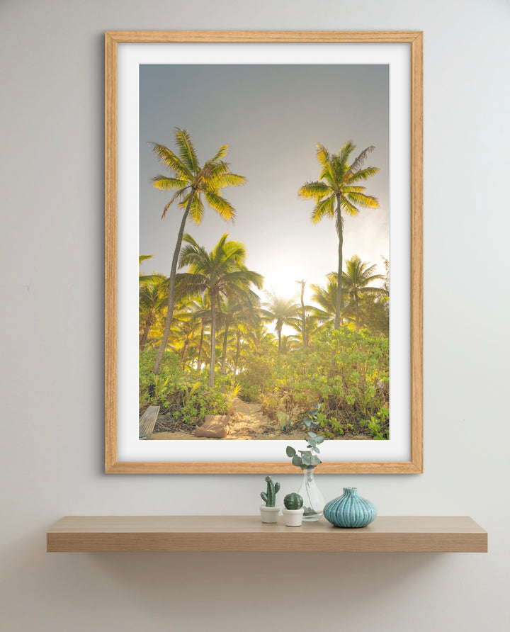 palms 7