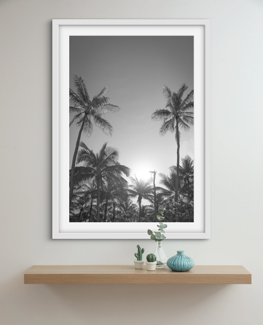 palms 6