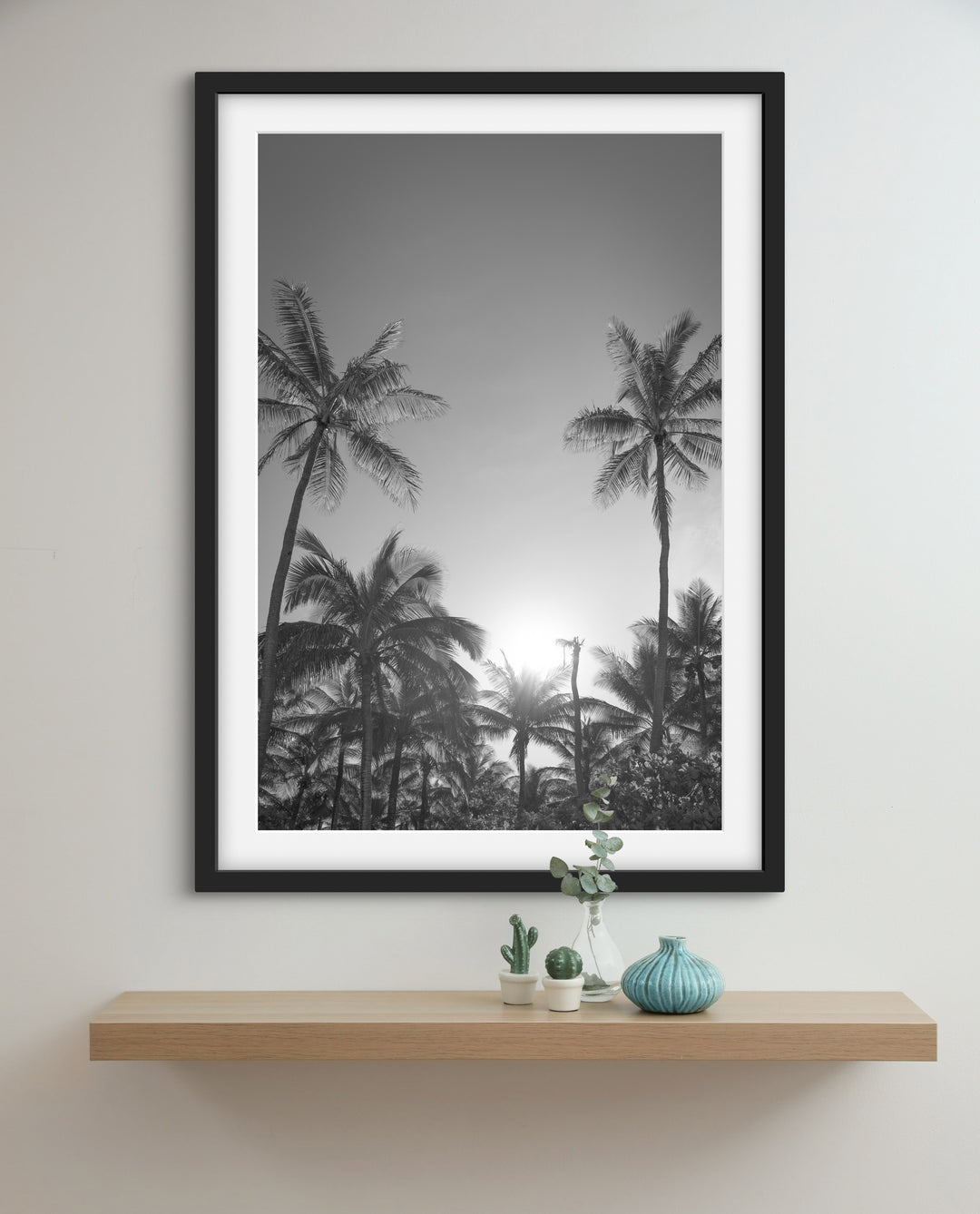 palms 6