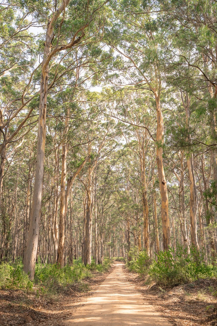 boranup